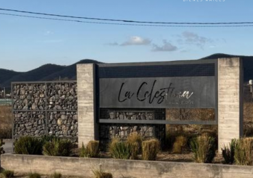 TERRENO EN VENTA LA CELSTINA - CERRILLOS 