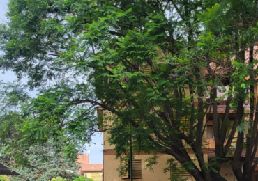 DEPARTAMENTO EN VENTA - B° LIMACHE - ZONA SUR